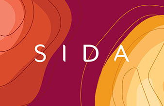 SIDA Brand Identity