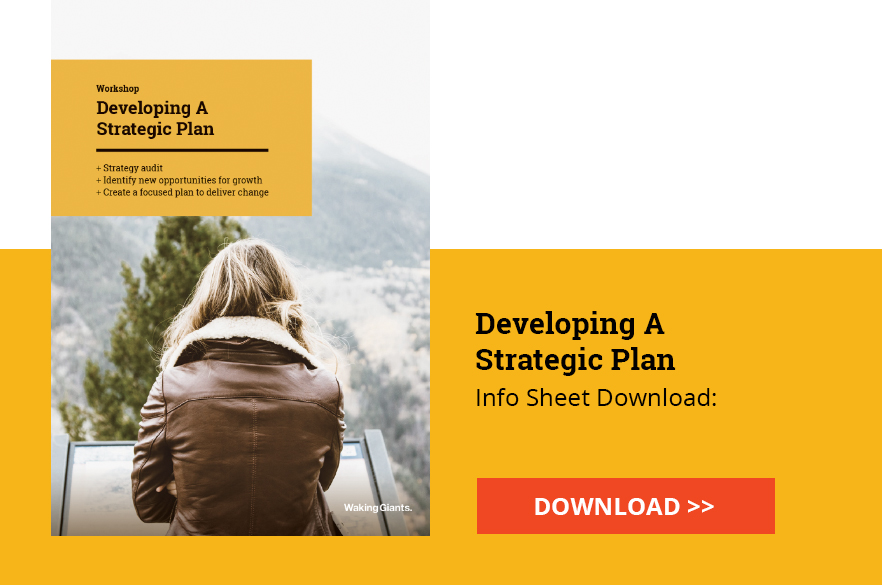 Developing A Strategic Plan - Info Sheet CTA