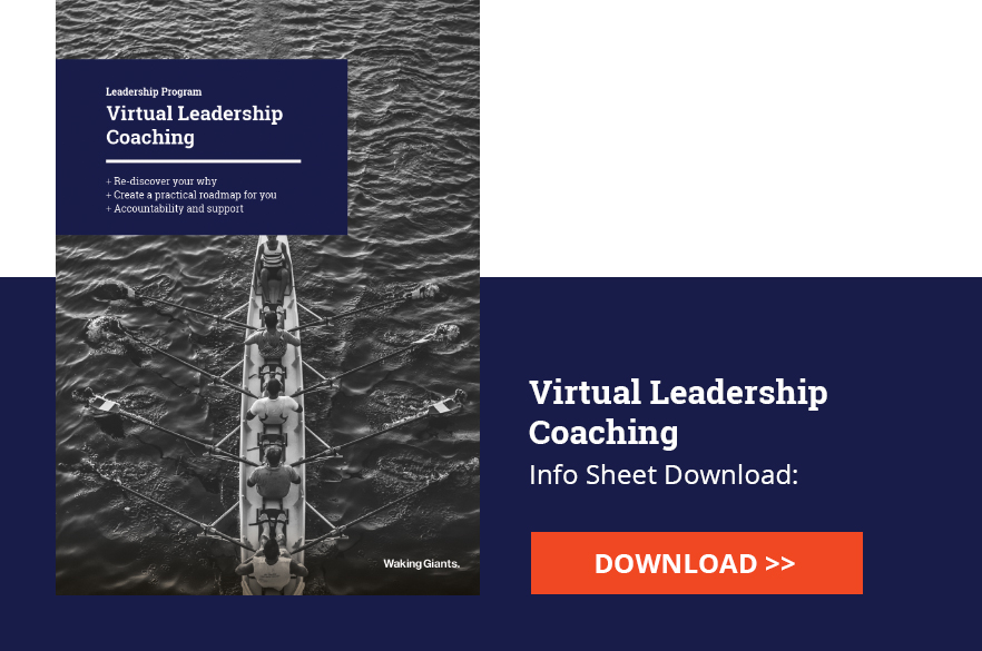 Virtual Leadership Coaching by Waking Giants