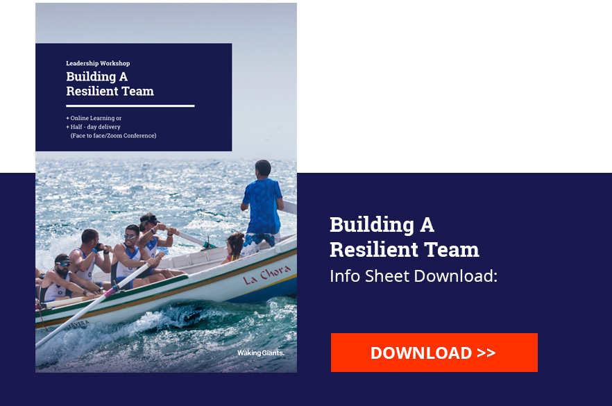 Building A Resilient Team Workshop