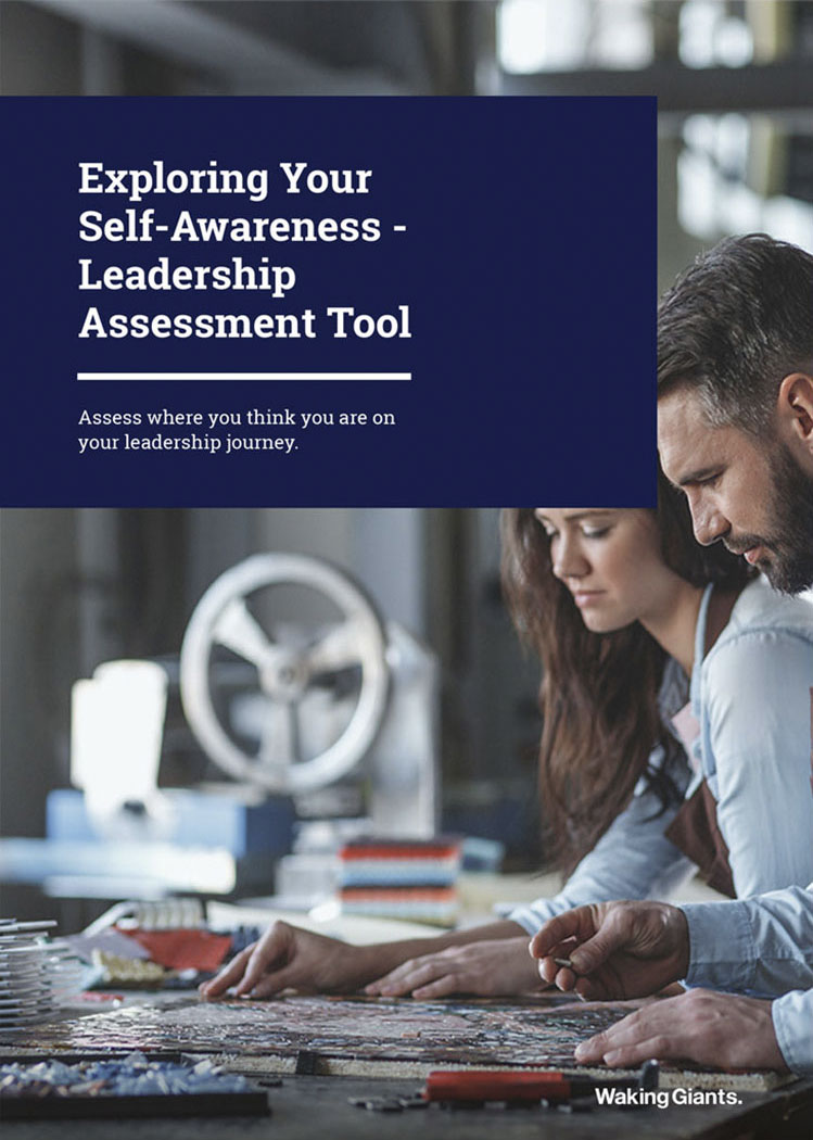 Exploring Your Self Awareness - Leadership Assessment Tool