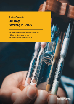 30 Day Strategic Plan Template