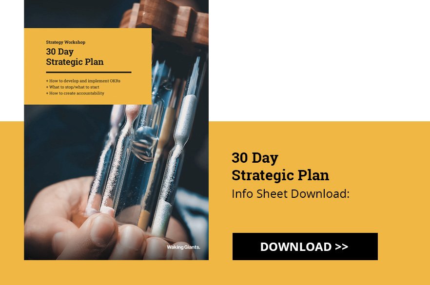 30 Day strategic plan